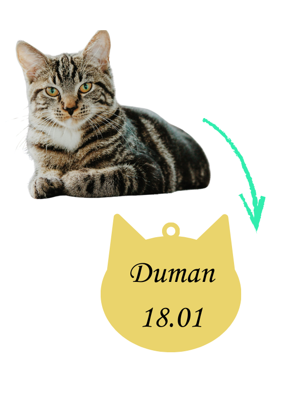 Kedinize Özel İsimli Tasma Plakası