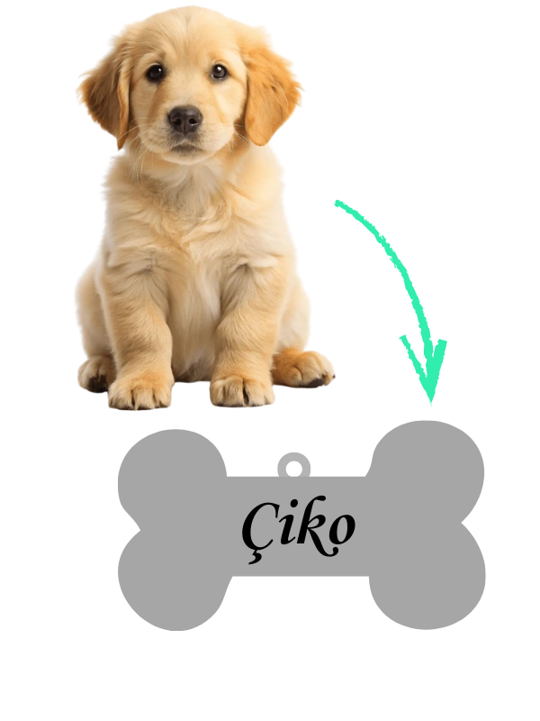 Köpeğinize Özel İsimli Tasma Plakası