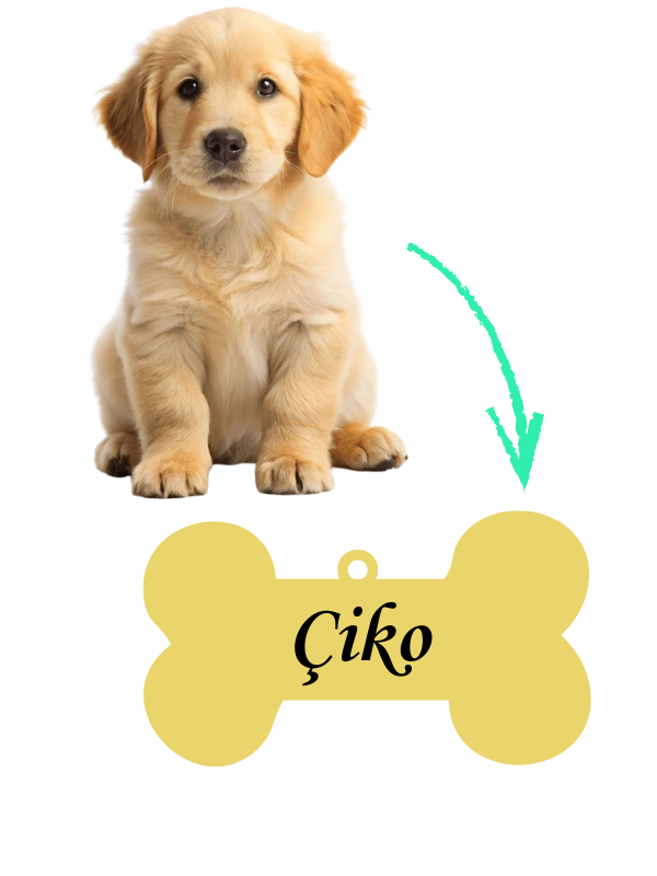 Köpeğinize Özel İsimli Tasma Plakası